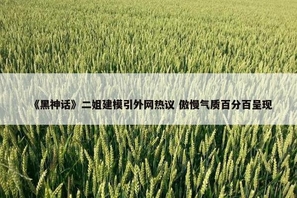 《黑神话》二姐建模引外网热议 傲慢气质百分百呈现