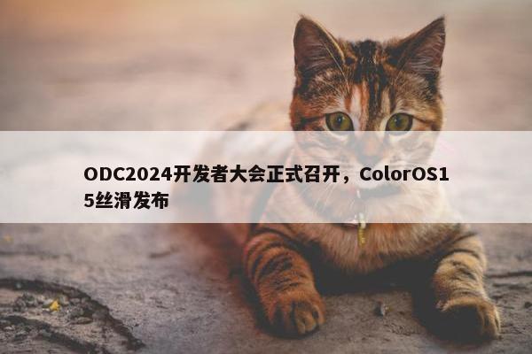 ODC2024开发者大会正式召开，ColorOS15丝滑发布