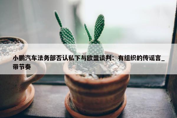 小鹏汽车法务部否认私下与欧盟谈判：有组织的传谣言_带节奏