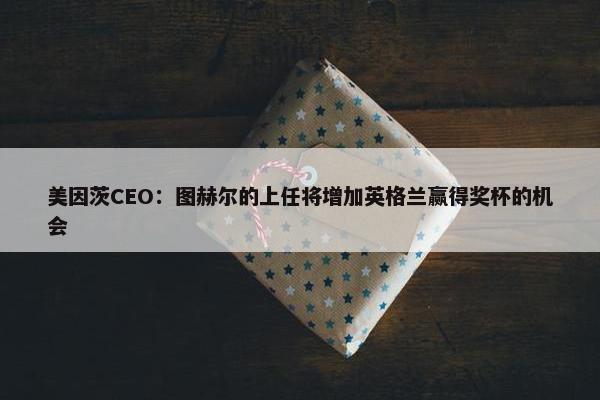 美因茨CEO：图赫尔的上任将增加英格兰赢得奖杯的机会