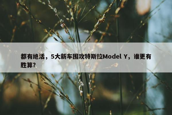 都有绝活，5大新车围攻特斯拉Model Y，谁更有胜算？