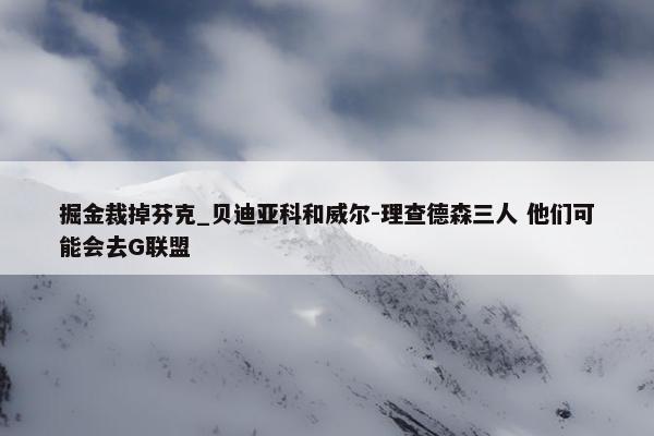 掘金裁掉芬克_贝迪亚科和威尔-理查德森三人 他们可能会去G联盟