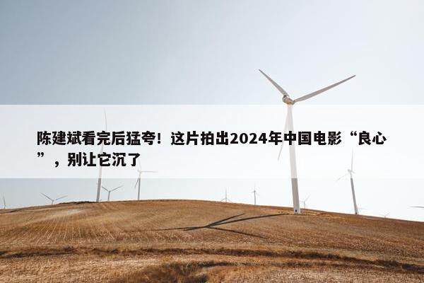 陈建斌看完后猛夸！这片拍出2024年中国电影“良心”，别让它沉了