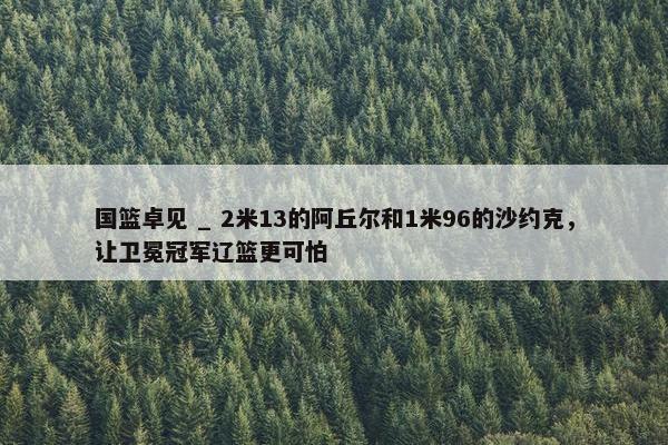 国篮卓见 _ 2米13的阿丘尔和1米96的沙约克，让卫冕冠军辽篮更可怕