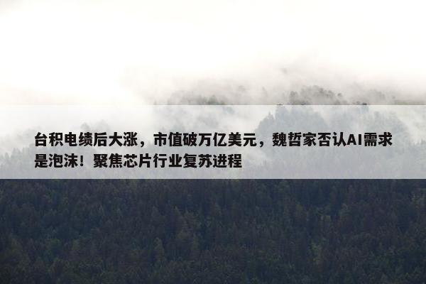 台积电绩后大涨，市值破万亿美元，魏哲家否认AI需求是泡沫！聚焦芯片行业复苏进程