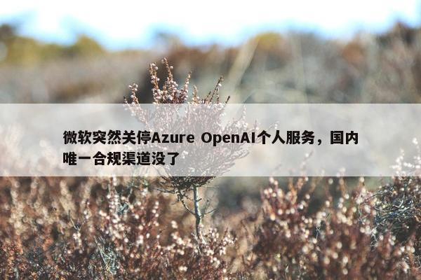 微软突然关停Azure OpenAI个人服务，国内唯一合规渠道没了