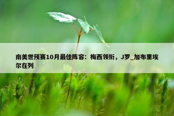 南美世预赛10月最佳阵容：梅西领衔，J罗_加布里埃尔在列