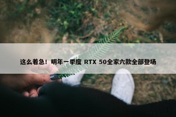 这么着急！明年一季度 RTX 50全家六款全部登场