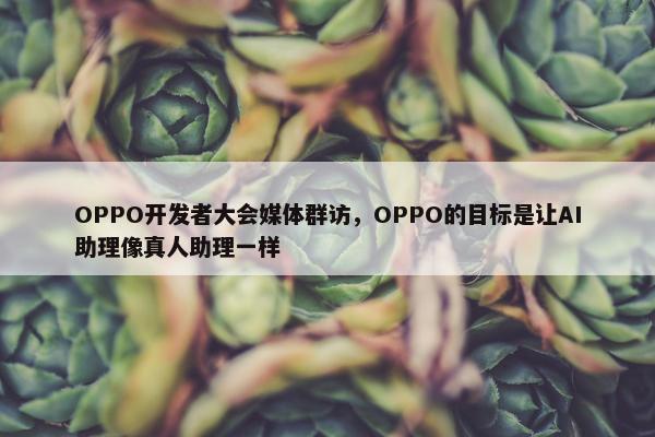 OPPO开发者大会媒体群访，OPPO的目标是让AI助理像真人助理一样