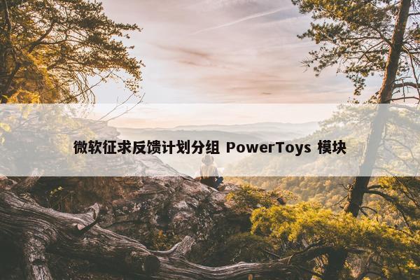 微软征求反馈计划分组 PowerToys 模块