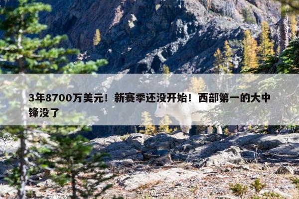 3年8700万美元！新赛季还没开始！西部第一的大中锋没了