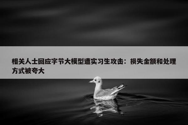 相关人士回应字节大模型遭实习生攻击：损失金额和处理方式被夸大