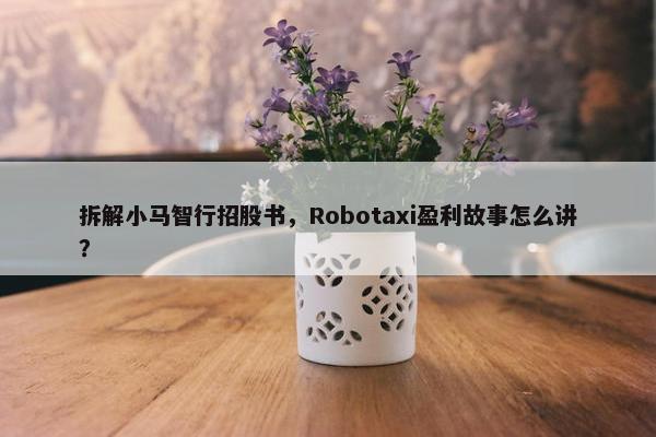 拆解小马智行招股书，Robotaxi盈利故事怎么讲？