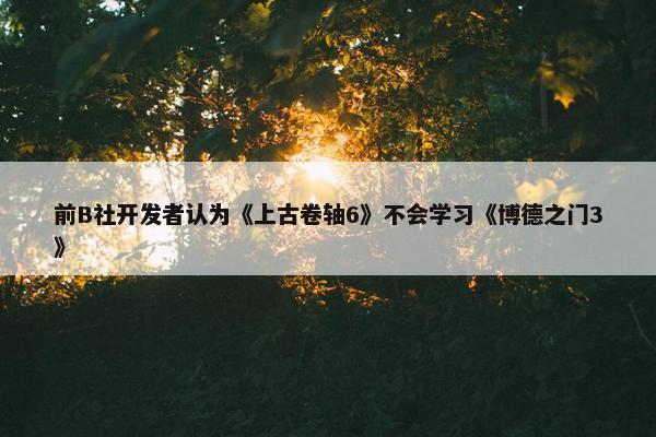 前B社开发者认为《上古卷轴6》不会学习《博德之门3》