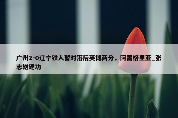 广州2-0辽宁铁人暂时落后英博两分，阿雷格里亚_张志雄建功