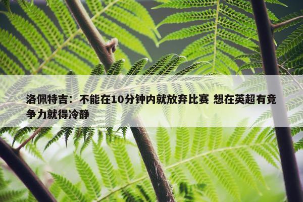 洛佩特吉：不能在10分钟内就放弃比赛 想在英超有竞争力就得冷静