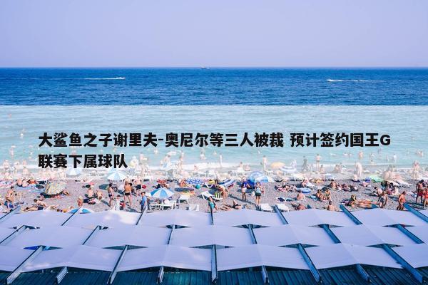 大鲨鱼之子谢里夫-奥尼尔等三人被裁 预计签约国王G联赛下属球队