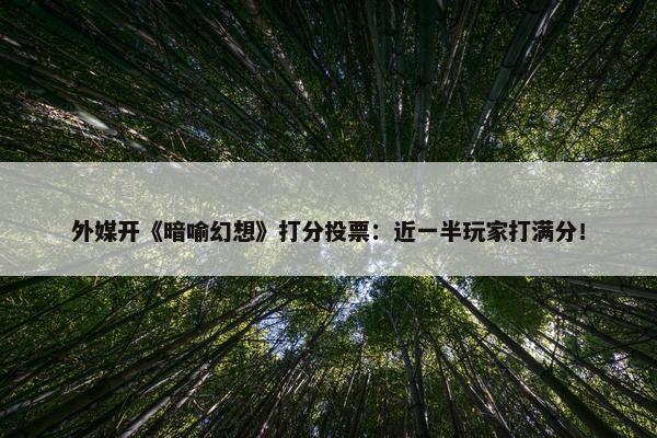 外媒开《暗喻幻想》打分投票：近一半玩家打满分！