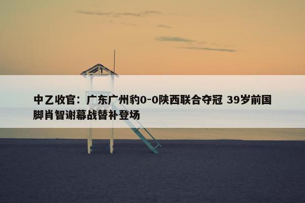 中乙收官：广东广州豹0-0陕西联合夺冠 39岁前国脚肖智谢幕战替补登场