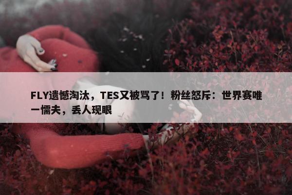 FLY遗憾淘汰，TES又被骂了！粉丝怒斥：世界赛唯一懦夫，丢人现眼