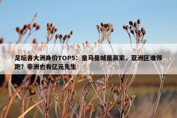 足坛各大洲身价TOP5：皇马曼城是赢家，亚洲区谁领跑？非洲也有亿元先生