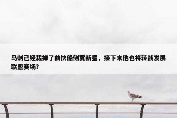 马刺已经裁掉了前快船侧翼新星，接下来他也将转战发展联盟赛场？