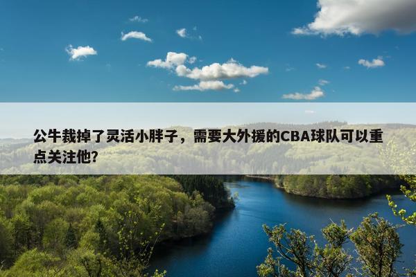 公牛裁掉了灵活小胖子，需要大外援的CBA球队可以重点关注他？