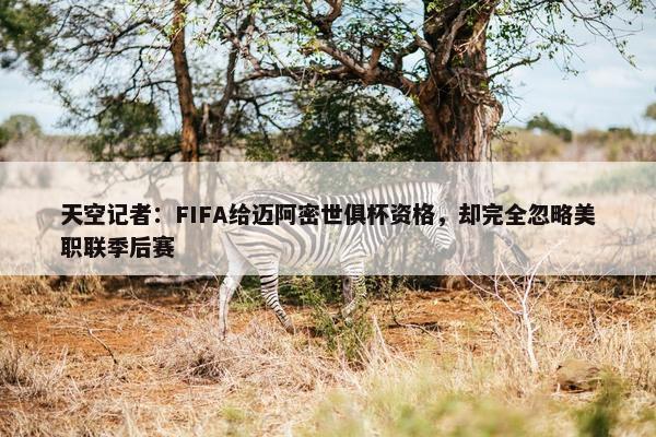 天空记者：FIFA给迈阿密世俱杯资格，却完全忽略美职联季后赛