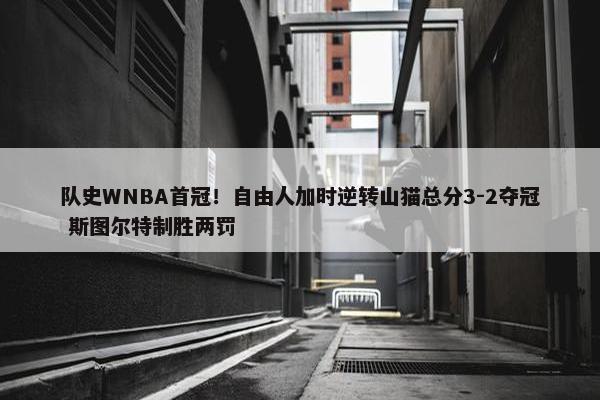 队史WNBA首冠！自由人加时逆转山猫总分3-2夺冠 斯图尔特制胜两罚