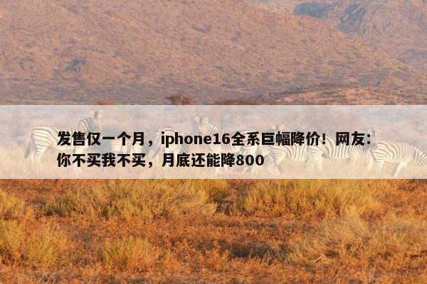 发售仅一个月，iphone16全系巨幅降价！网友：你不买我不买，月底还能降800