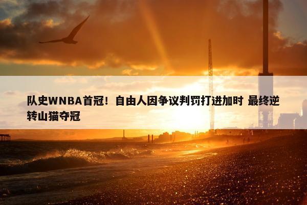 队史WNBA首冠！自由人因争议判罚打进加时 最终逆转山猫夺冠