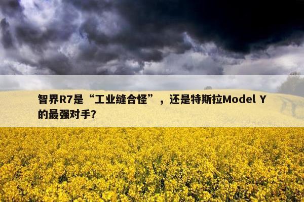 智界R7是“工业缝合怪”，还是特斯拉Model Y的最强对手？