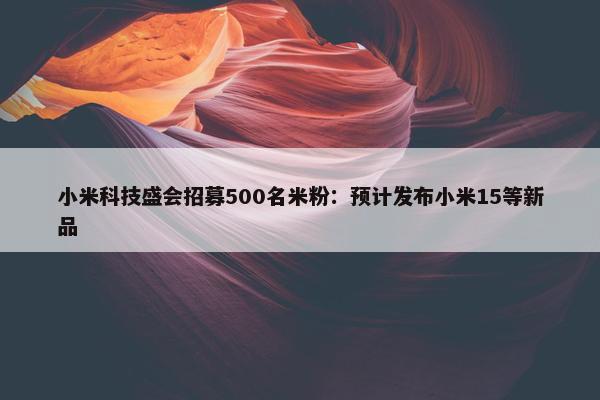 小米科技盛会招募500名米粉：预计发布小米15等新品