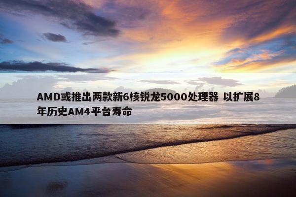 AMD或推出两款新6核锐龙5000处理器 以扩展8年历史AM4平台寿命