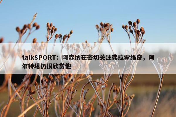 talkSPORT：阿森纳在密切关注弗拉霍维奇，阿尔特塔仍很欣赏他