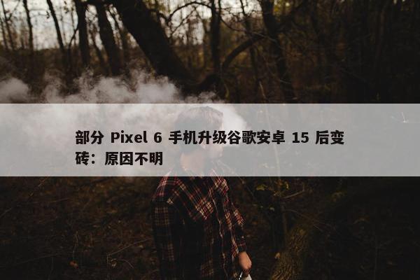 部分 Pixel 6 手机升级谷歌安卓 15 后变砖：原因不明