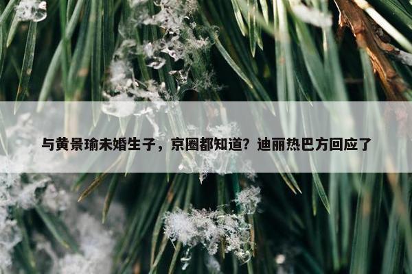 与黄景瑜未婚生子，京圈都知道？迪丽热巴方回应了