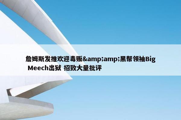 詹姆斯发推欢迎毒贩&amp;黑帮领袖Big Meech出狱 招致大量批评