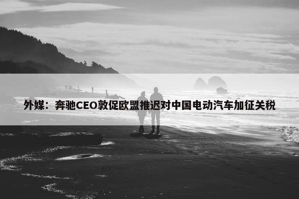 外媒：奔驰CEO敦促欧盟推迟对中国电动汽车加征关税