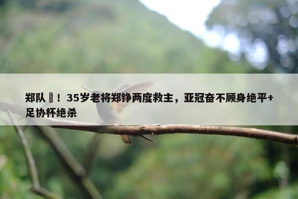 郑队️！35岁老将郑铮两度救主，亚冠奋不顾身绝平+足协杯绝杀