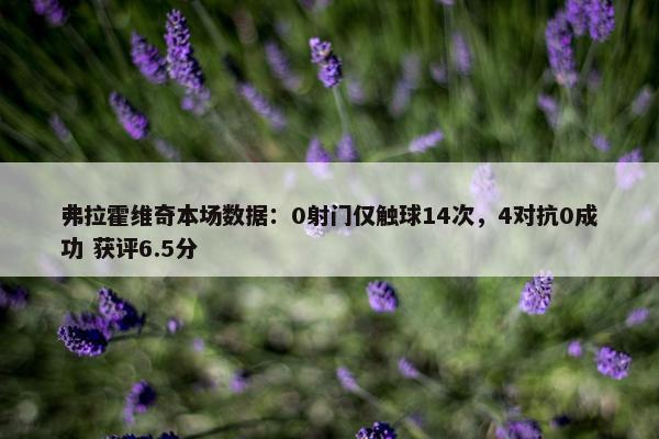 弗拉霍维奇本场数据：0射门仅触球14次，4对抗0成功 获评6.5分