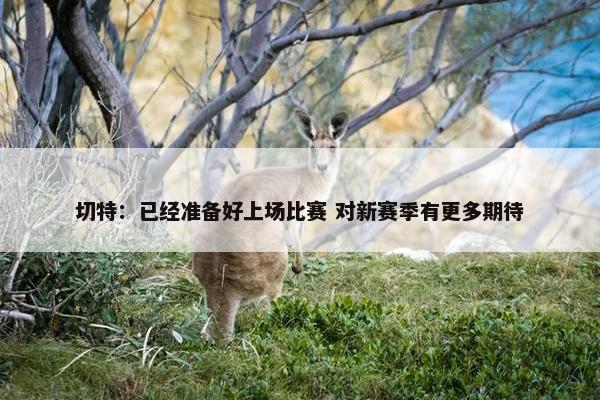 切特：已经准备好上场比赛 对新赛季有更多期待