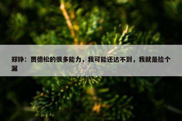 郑铮：贾德松的很多能力，我可能还达不到，我就是捡个漏