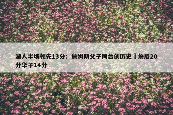 湖人半场领先13分：詹姆斯父子同台创历史 詹眉20分华子14分