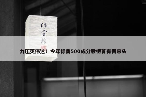 力压英伟达！今年标普500成分股榜首有何来头