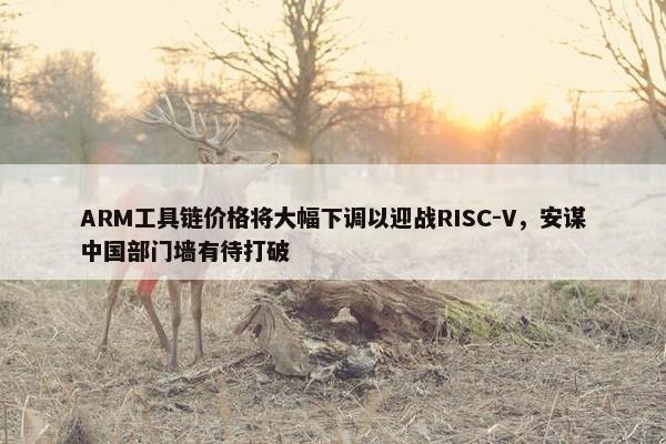 ARM工具链价格将大幅下调以迎战RISC-V，安谋中国部门墙有待打破