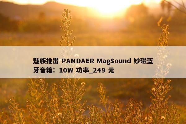 魅族推出 PANDAER MagSound 妙磁蓝牙音箱：10W 功率_249 元