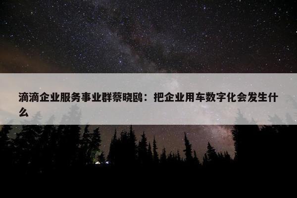 滴滴企业服务事业群蔡晓鸥：把企业用车数字化会发生什么