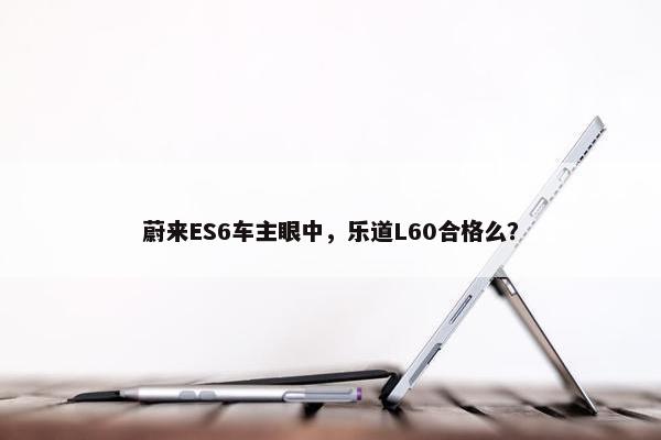 蔚来ES6车主眼中，乐道L60合格么？