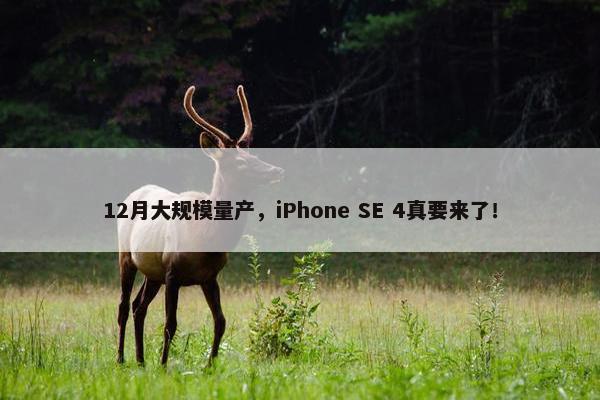 12月大规模量产，iPhone SE 4真要来了！